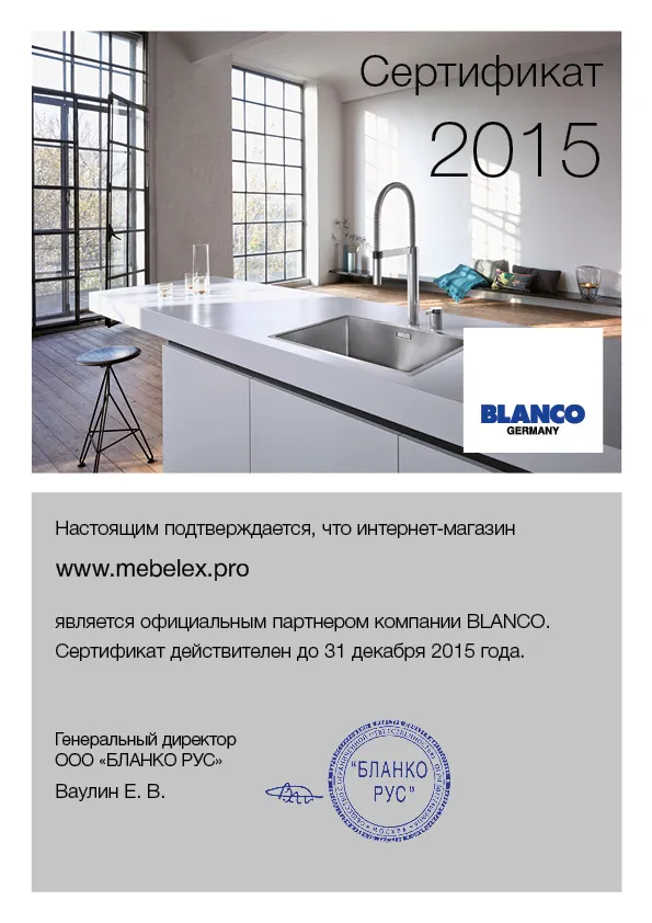Сертификат дилера Blanco 2015