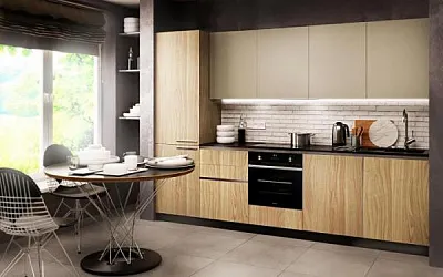 «За» и «против» встраиваемого духового шкафа